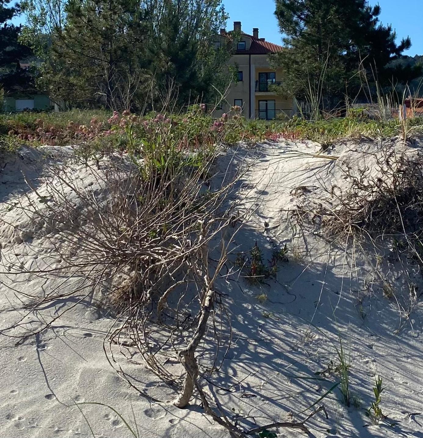 Apto Las Dunas De Langosteira En Fisterra Zewnętrze zdjęcie